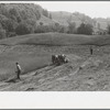 Cutting hay, Windsor County, Vermont