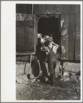 Bob McNally feeding the pigs, Kirby, Vt. Sept. 1937