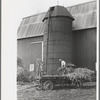 Barn and silo on Anton Weber's farm, Tompkins County, New York