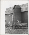 Barn and silo on Anton Weber's farm, Tompkins County, New York