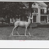 Garden monument. Rockland, Maine