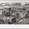 Fishermen, Key West, Florida