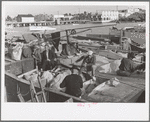 Fishermen, Key West, Florida