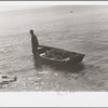 Fishermen, Key West, Florida