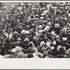 Crowds at races, Indianapolis, Indiana