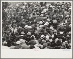 Crowds at races, Indianapolis, Indiana