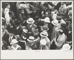 Crowds at races, Indianapolis, Indiana