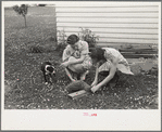 Housewives killing a chicken for dinner, Decatur Homesteads, Indiana