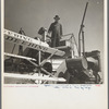 Operating a harvester on a Texas wheat field