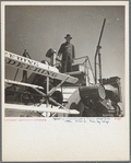 Operating a harvester on a Texas wheat field