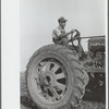 Tractor operator, Wabash Farms, Indiana