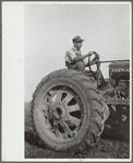 Tractor operator, Wabash Farms, Indiana