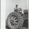 Tractor operator, Wabash Farms, Indiana