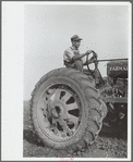 Tractor operator, Wabash Farms, Indiana