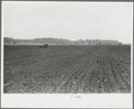 Large fields make tractor cultivation necessary. Wabash Farms, Indiana