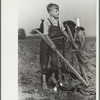 Farm boy, Wabash Farms, Indiana