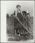 Farm boy, Wabash Farms, Indiana