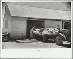 Loading supplies into shed, Wabash Farms, Indiana