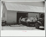 Loading supplies into shed, Wabash Farms, Indiana