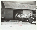 Loading supplies into shed, Wabash Farms, Indiana