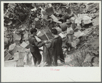 Children at city dump, Ambridge, Pennsylvania