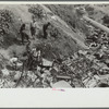 Children at city dump, Ambridge, Pennsylvania