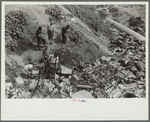 Children at city dump, Ambridge, Pennsylvania