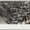 Children at city dump, Ambridge, Pennsylvania