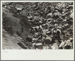 Children at city dump, Ambridge, Pennsylvania