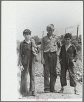 Children at city dump, Ambridge, Pennsylvania