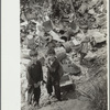 Children at city dump, Ambridge, Pennsylvania