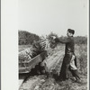 Loading carrots on truck, Camden County, New Jersey