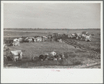 New Madrid County spillway where evicted sharecroppers were moved from highway, [New Madrid County,] Missouri