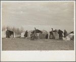 Evicted sharecroppers on Highway 60, New Madrid County, Missouri