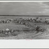 New Madrid spillway, where evicted sharecroppers were moved from highway, New Madrid County, Missouri