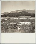 Indian women still fetch water from the Rio de Taos, which runs through the Pueblo village. New Mexico