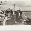 Evicted sharecroppers along Highway 60, New Madrid County, Missouri