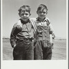 Sons of resettled farmers. Bosque Farms, New Mexico