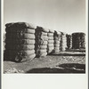 Bales of cotton. Roswell, New Mexico