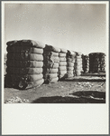 Bales of cotton. Roswell, New Mexico