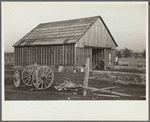 Barn in which unemployed miner lives, Herrin, Illinois