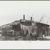 A shanty built of refuse near the Sunnyside slack pile, Herrin, Illinois. Many residences in southern Illinois coal towns were built with money borrowed from building and loan associations