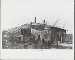 A shanty built of refuse near the Sunnyside slack pile, Herrin, Illinois. Many residences in southern Illinois coal towns were built with money borrowed from building and loan associations