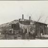 A shanty built of refuse near the Sunnyside slack pile, Herrin, Illinois. Many residences in southern Illinois coal towns were built with money borrowed from building and loan associations