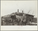 A shanty built of refuse near the Sunnyside slack pile, Herrin, Illinois. Many residences in southern Illinois coal towns were built with money borrowed from building and loan associations