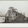 Gopher hole with primitive screening arrangement, Williamson County, Illinois