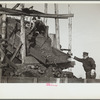 Loading a truck at gopher hole, Williamson County, Illinois