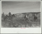 Saddling a spirited horse, Quarter Circle U Ranch roundup, Montana