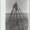 Branding irons, Quarter Circle U roundup, Montana