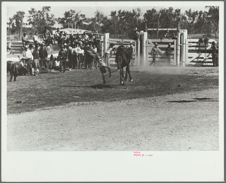 Bronco rider, rodeo, Miles City, Montana - NYPL Digital Collections